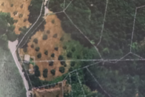 Casa da ristrutturare all' interno