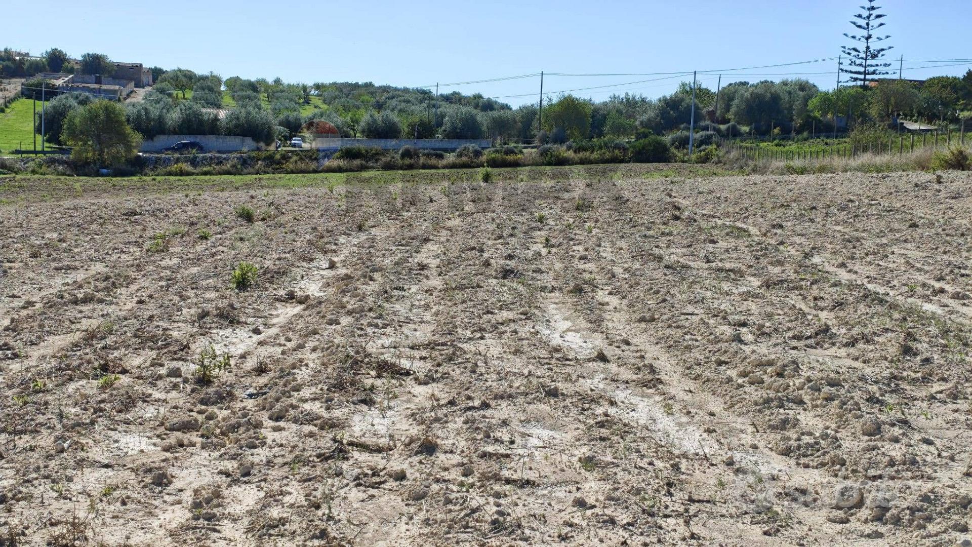 Terreno - Noto - Altro