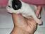 Immagine 4