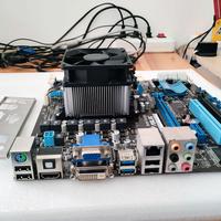mainboard Asus F1A75-M