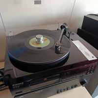 project debut carbon evo