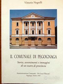 V. Negrelli - Il Comunale di Pegognaga. Storia