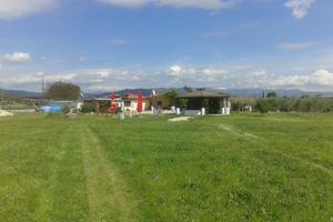 Terreno a comodato d'uso