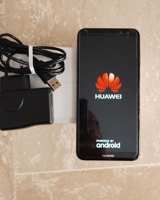 Huawei  mate 10 light 