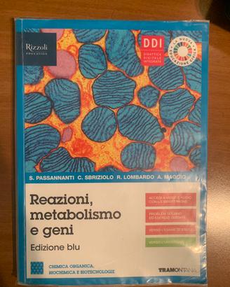 Reazioni, metabolismo e geni - Edizione Blu