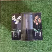 Vaso per orchidee masgabana