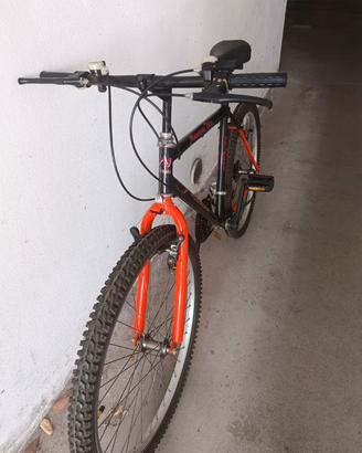 Bicicletta MTB BISEX MAI USATA