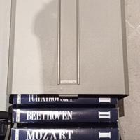 Collana VHS artisti famosi