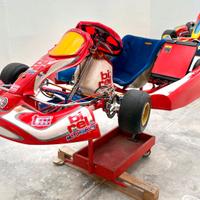 Go Kart Birel art 125 cc a marce Motorizzato Tm