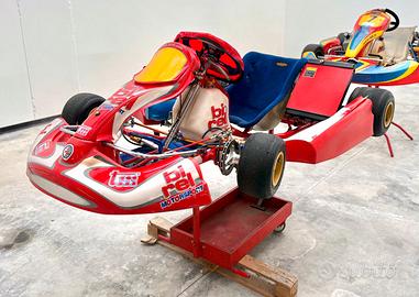 Go Kart Birel art 125 cc a marce Motorizzato Tm