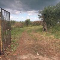 Terreno a Spartà rif. GIH-5021