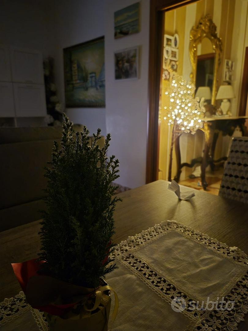 Apartment in Gioia Tauro, Villa Cordopatri - Altro