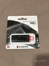 Pendrive Kingston DTX/256GB