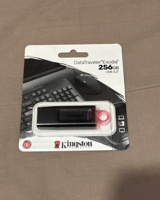 Pendrive Kingston DTX/256GB