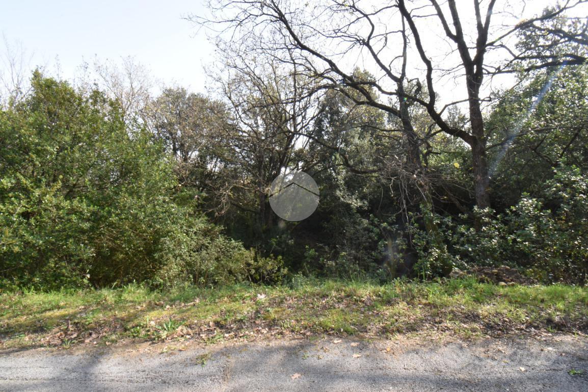 TER. AGRICOLO A AGROPOLI - Vista 4