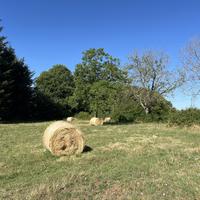 Terreno Agricolo Fiuggi [Cod. rif 3248945VCG]