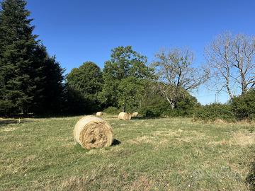 Terreno Agricolo Fiuggi [Cod. rif 3248945VCG]