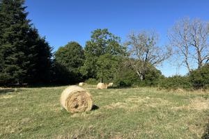 Terreno Agricolo Fiuggi [Cod. rif 3248945VCG]