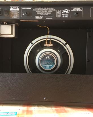 Amplificatore PEAVY ENVOY 110