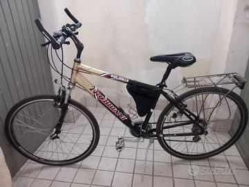 Citybike Trubbiani