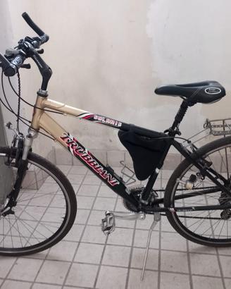 Citybike Trubbiani