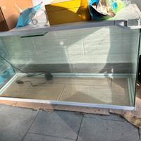 Acquario per pesci retroilluminato