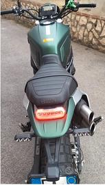 Benelli Leoncino 800 - 2023