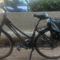 Bici elettrica