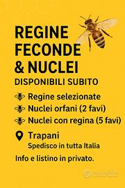 Api regine, nuclei, celle reali