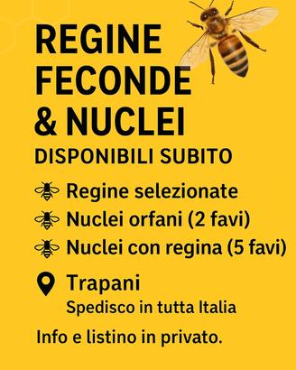 Api regine, nuclei, celle reali