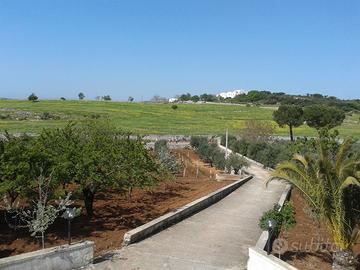 Villa con vista panoramica - OSTUNI