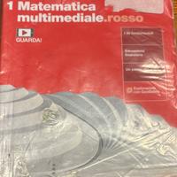Libro Matematica multimediale rosso 1
