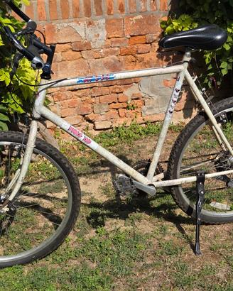 bicicletta 26"