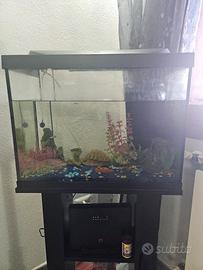 Acquario con mobile