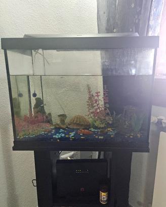 Acquario con mobile
