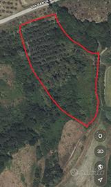 TERRENO AGRICOLO 13.000 mq