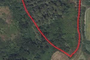 TERRENO AGRICOLO 13.000 mq