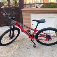 MOUNTAIN BIKE SMP DIABLO