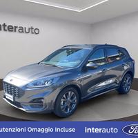 FORD Kuga 1.5 EcoBlue 120 CV 2WD ST-Line