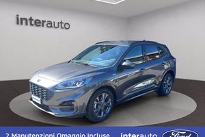 FORD Kuga 1.5 EcoBlue 120 CV 2WD ST-Line