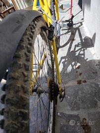 bicicletta 