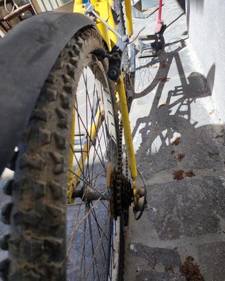 bicicletta 