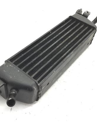 BMW R 850 RT ABS 850 RADIATORE OLIO 2002 2005 EX+P