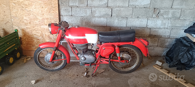 Gilera Giubileo 175 extra