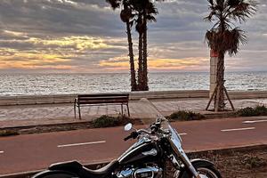 Harley-davidson Fat Boy