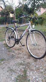 Bici da uomo