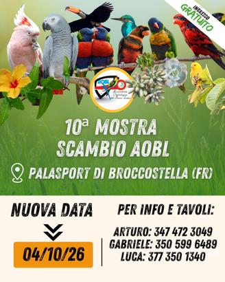 Pappagalli canarini esotici
