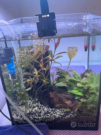 Acquario Pronto 25x30cm