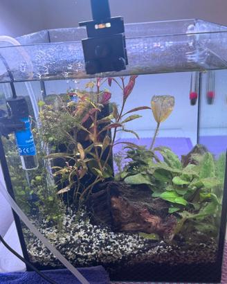 Acquario Pronto 25x30cm