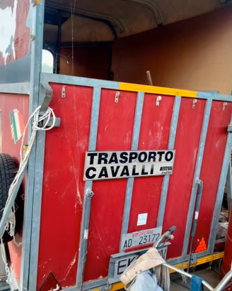 Trailer Rimorchio Trasporto Cavalli